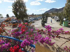 Camping Mazarron